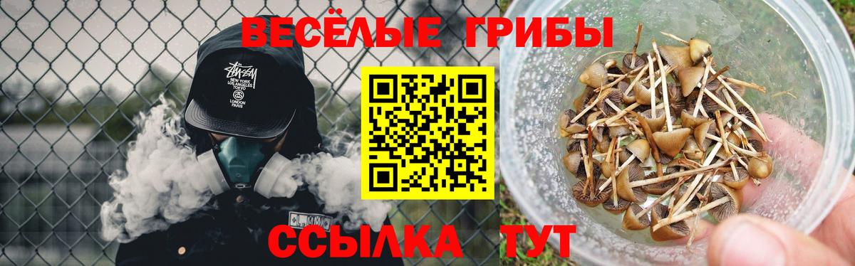 Псилоцибиновые грибы Psilocybe Бузулук